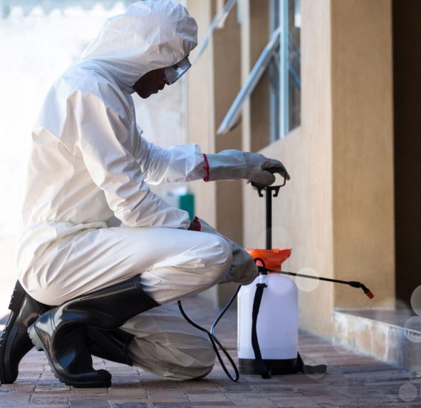 Blue And White Modern Pest Control Services Instagram Post (2)