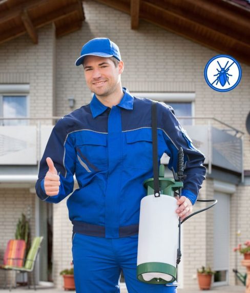 Blue And White Modern Pest Control Services Instagram Post