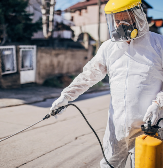 Foto-disinfestazione-800x550-1