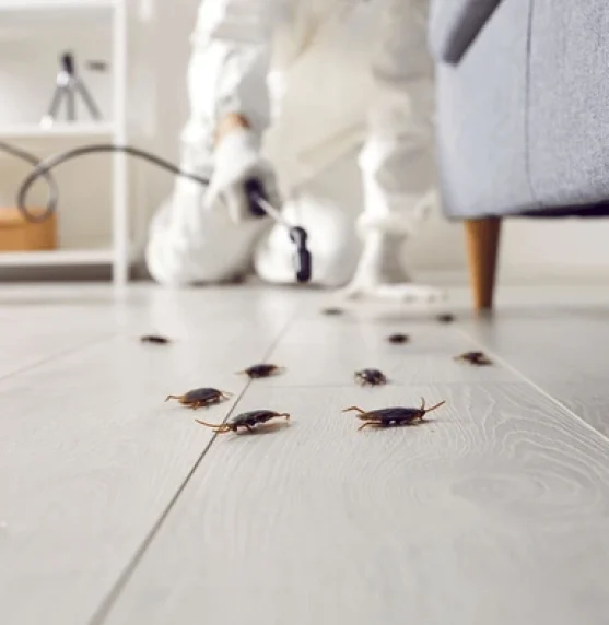 pest-control-exterminating-roaches-inside-600nw-2287572003
